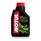 Olio Motul 5100 4T 10W30 1 Litro