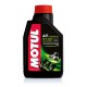 Olio Motul 5100 4T 10W50 1 Litro