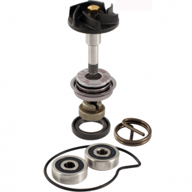Kit revisione pompa acqua Piaggio Beverly 300