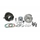 Gruppo termico Malossi 55mm Vespa 50 Ape 50 codice 31 8691