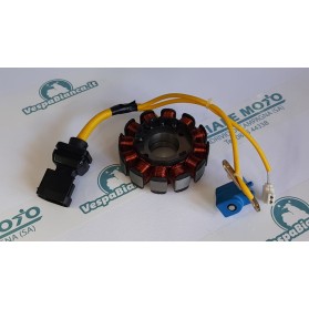 STATORE PIAGGIO BEVERLY 125 RST PIAGGIO LIBERTY 125 LEADER