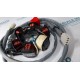 Statore originale Piaggio Liberty 125 prima serie