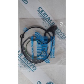 Guarnizioni Polini gruppo termico 47mm Aprilia Yamaha Minarelli orizzontale H2O