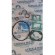 SERIE GUARNIZIONI POLINI 209.0291 MINARELLI RV4 H2O CIL.ALL. 80 CC.