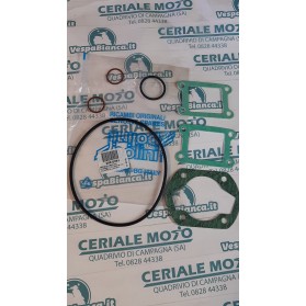 SERIE GUARNIZIONI POLINI 209.0291 MINARELLI RV4 H2O CIL.ALL. 80 CC.