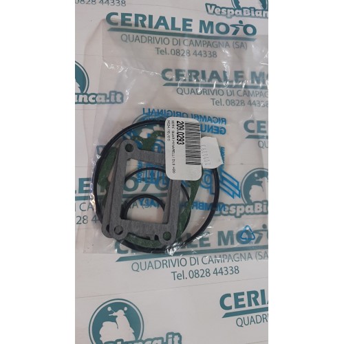 SERIE GUARNIZIONI POLINI MINARELLI DL3 H2O 209.0293