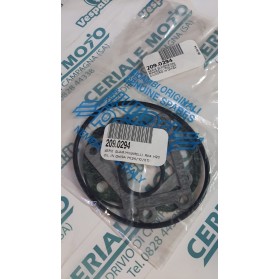 SERIE GUARNIZIONI POLINI MINARELLI RV4 H2O CILINDRO IN GHISA 209.0294