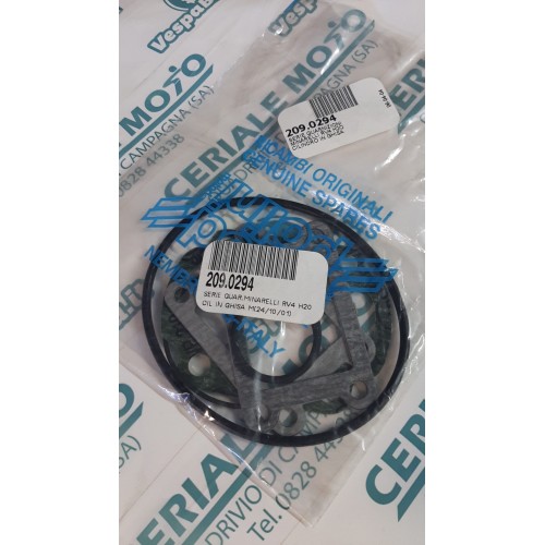 SERIE GUARNIZIONI POLINI MINARELLI RV4 H2O CILINDRO IN GHISA 209.0294