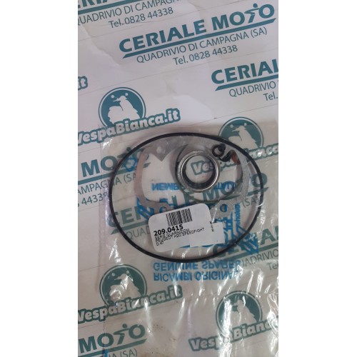 SERIE GUARNIZIONI POLINI PEUGEOT SPEED FIGHT D47 209.0415